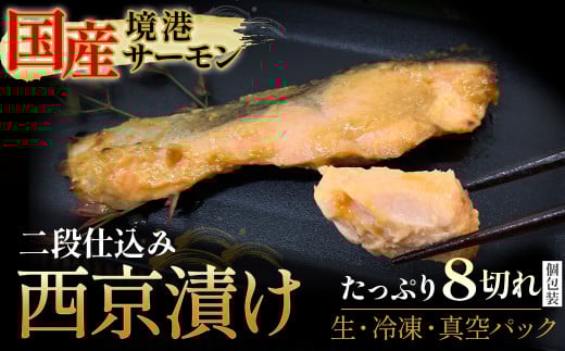 【数量・期間限定】 【個包装】境港サーモン 切り身 二段仕込み西京漬け 480g（60g×8切れ）真空冷凍 銀鮭ギンザケ サーモン 境港サーモン 鮭 さけ シャケ 国産鮭 西京漬け鮭 鮭切身 サーモン 国産サーモン サーモン切身 養殖サーモン