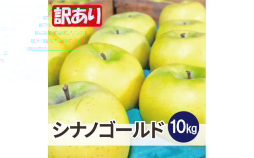 ＜26年5月より順次発送＞平均糖度13度以上! シナノゴールド 約10kg 訳あり  クール便【1610035】 2137631 - 青森県黒石市