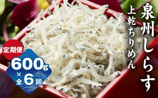 【定期便】泉州しらす （上乾ちりめん）600g×全6回 真面目漁師 濱ちゃんのこだわり