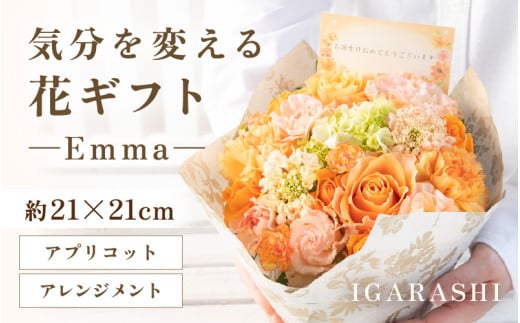 気分を変える花ギフト Emma(アレンジメント・アプリコット) [aw062-a006_05]