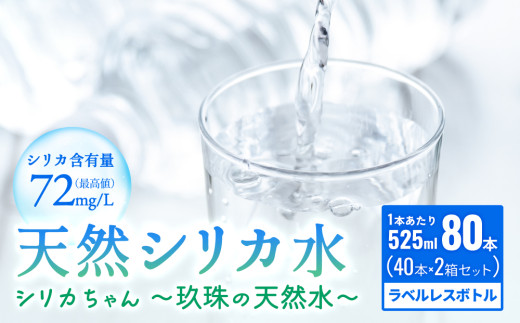 天然 シリカ 水 525ml × 40本 × 2箱 ＜シリカちゃん〜玖珠の天然水〜＞ ラベルレス 天然水 シリカ水 ミネラルウォーター 大分県 国産 天然シリカ 水 シリカ水 ミネラルウォーター 国産 保存可能 水 ペットボトル 長期保存水 備蓄水 備蓄用 非常災害備蓄用 災害 避難用品 防災 SDGs 1919905 - 大分県玖珠町