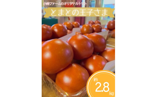 とまとの王子さま　約2.8kg ※2026年1月上旬～5月下旬頃に順次発送予定◆
