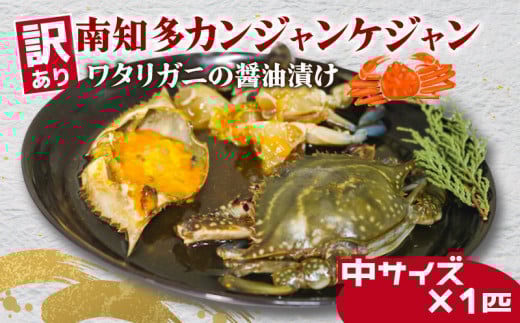 訳あり 南知多カンジャンケジャン カンジャンケジャン 中蟹1匹 ワタリガニの醤油漬け 魚介 魚介類 ワタリガニ 渡蟹  蟹 新鮮 グルメ カニ お米 に合う コメ に合う こめ に合う ご飯 のお供 おすすめ 韓国料理 韓国グルメ ケジャン おいしいカニ  晩酌 肴 おかず そうめん 雑炊 濃厚 内子 海の幸 国産 夕食 万能 まるごと ふるさと納税カニ 自家製ダレ 蟹の旨味 愛知県 南知多