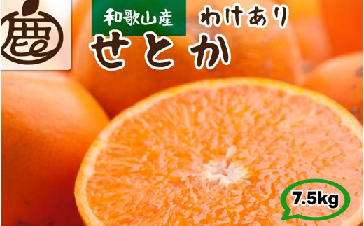 家庭用 せとか 7.5kg+250g（痛み補償分） 光センサー / 訳あり 甘い 和歌山 柑橘 ※2月上旬～4月上旬頃に順次発送 ※北海道・沖縄・離島への配送不可 【ikd014-c-7d5】 2117405 - 和歌山県広川町