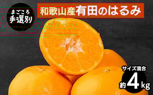 【まごころ手選別】和歌山産有田のはるみ　約4kg(サイズ混合) ※2026年1月下旬～2月下旬頃より順次発送予定