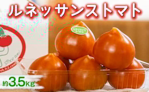 ルネッサンストマト　約3.5kg　※2026年1月上旬～5月下旬頃に順次発送予定／とまと ハート型 新鮮 愛知県 特産品◆