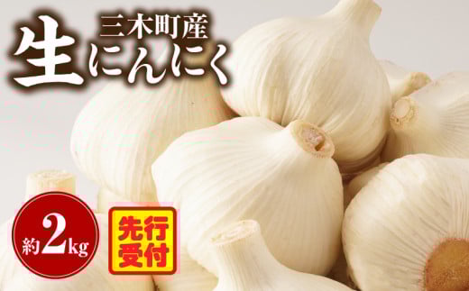 三木町産　生にんにく　約2kg |にんにく ガーリック 肉厚 野菜 食材 国産 国産にんにく 薬味 調味 スタミナ 料理 贈答 贈り物 ギフト おすそ分け ストック 生鮮食品 食品 グルメ お取り寄せ おすすめ 特産 特産品 人気 自宅用 家庭用 香川県 三木町 |_mk006-039