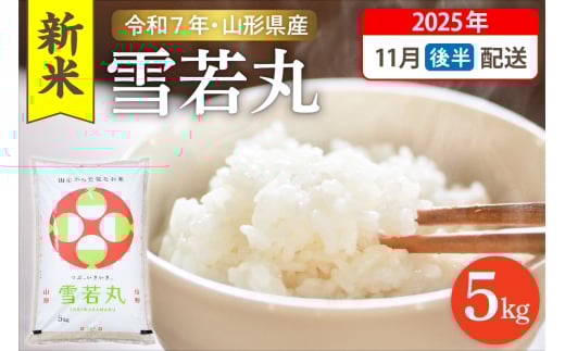 [令和7年産米]☆2025年11月後半発送☆ 雪若丸 5kg(5kg×1袋)山形県 東根市産 hi003-147-113-1