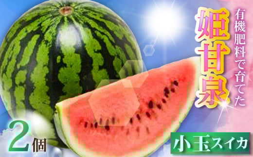 有機肥料で育てた小玉スイカ【姫甘泉】（2個入り）　M002-008
