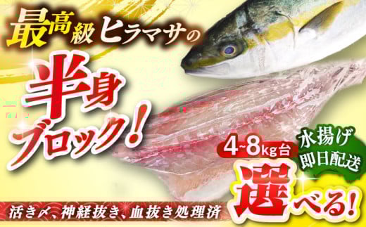 [選べるサイズ4〜8キロ台]壱岐島産天然ヒラマサ(半身ブロック) [壱岐市][壱岐島 玄海屋][JBS085] ヒラマサ 魚 刺身 煮物 カルパッチョ お寿司 のし プレゼント ギフト
