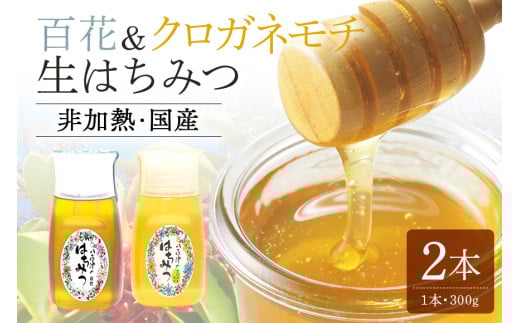 370. 農林水産大臣賞受賞!! 使いやすいプラ容器入り 非加熱生はちみつ 百花 クロガネモチ 各300g 計2本 純粋生はちみつ 食べ比べ