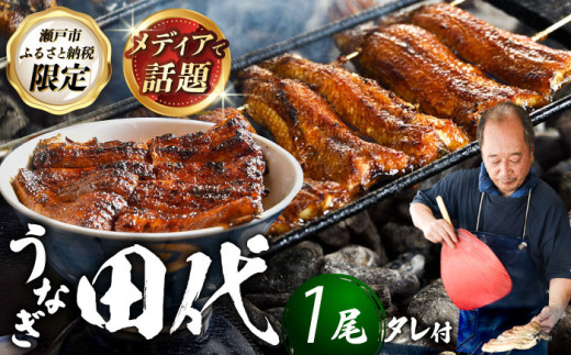 [TVで話題沸騰!]炭火焼き 国産うなぎ 蒲焼 1尾 / 取り寄せ グルメ ウナギ 鰻 尾張瀬戸 田代 / 瀬戸市 / うなぎ田代 [BBCA001]