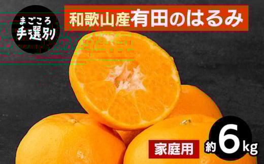 【まごころ手選別】和歌山産有田のはるみ　約6kg(家庭用) ※2026年1月下旬～2月下旬頃より順次発送予定