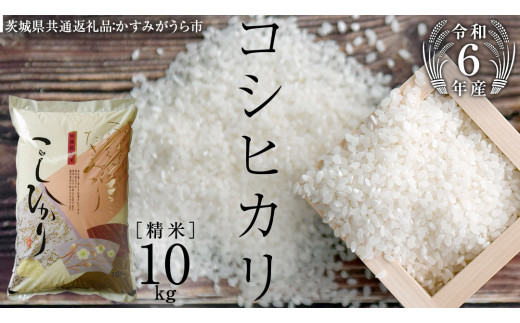  ≪ 令和6年度 ≫  コシヒカリ 精米 10kg ( 10kg × 1袋 ) (茨城県共通返礼品 かすみがうら市) 米 ごはん もっちり 甘い コメ お米 白米 [EX009sa]