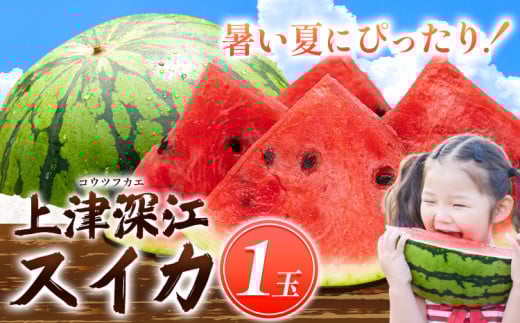 天草産上津深江 スイカ 1玉 髙橋商店 《6月末-8月中旬頃出荷》熊本県 苓北町 フルーツ 果物 くだもの スイカ すいか 西瓜 盆すいか 上津深江スイカ