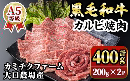 isa690 鹿児島県(カミチクファーム 大口農場)産 黒毛和牛カルビ焼肉(計400g・200g×2パック) 黒毛和牛 カルビ 焼肉 和牛 国産牛 高級肉 A5 ランク 雌牛 霜降り 旨味 口どけ 牛肉 焼肉用 BBQ バーベキュー アウトドア 冷凍 小分け 【お肉の直売所 伊佐店】