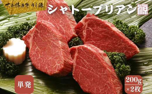 (冷凍) シャトーブリアン 200g×2枚 大和榛原牛 ／ A5 ギフト 部位 牛肉 黒毛和牛 和牛 焼肉 ステーキ 父の日 母の日 お中元 暑中見舞い お土産 内祝い 正月 奈良県 宇陀市 うし源本店 大和榛原牛 ふるさと納税