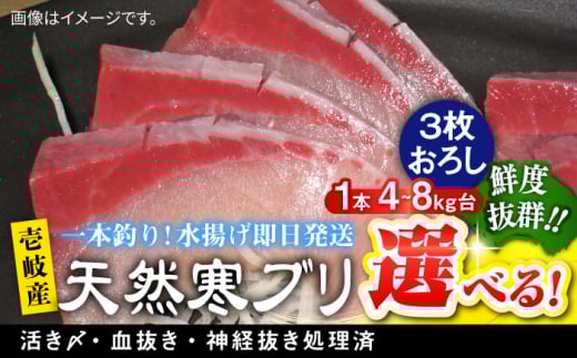 [選べるサイズ4〜8キロ台] 壱岐島産 天然寒ブリ(3枚おろし) [壱岐市][壱岐島 玄海屋][JBS010] ぶり 寒ぶり ブリ 魚 刺身 しゃぶしゃぶ ぶりしゃぶ 天然
