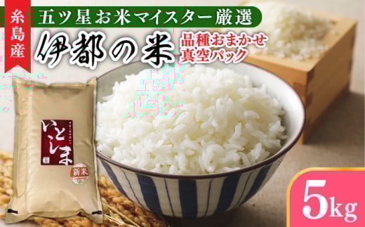【長期保存可能】 五ツ星お米マイスターが厳選 品種おまかせ 白米 5kg 糸島市 / 納富米穀店 [ARL005]
