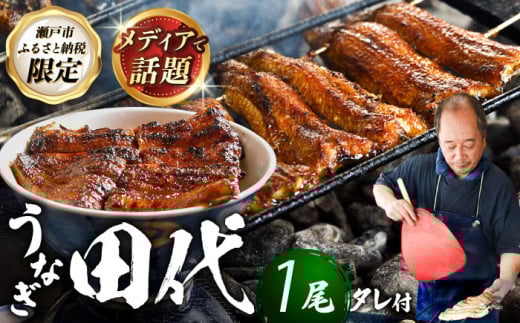 【3月発送】炭火焼き 国産うなぎ 蒲焼 1尾 / ウナギ 鰻 蒲焼 炭火 かば焼き / 瀬戸市 / うなぎ田代 [BBCA001-3] [BBCA001-3] 2137496 - 愛知県瀬戸市