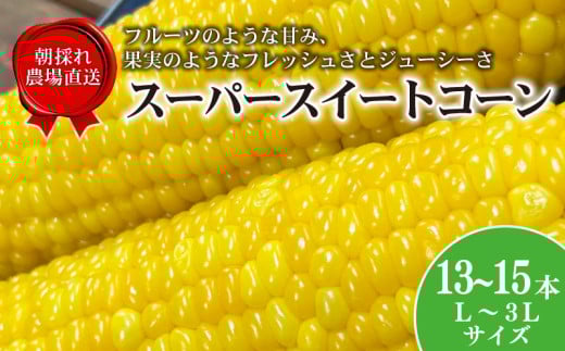 【数量限定】 ＼最短7営業日以内発送／ とうもろこし スーパースイートコーン 13～15本  2025年6月上旬発送開始予定 期間限定 スイートコーン ジューシー 甘い シャキシャキ 生 トウモロコシ コーン オオモノ 旬 野菜 夏野菜 冷蔵発送 送料無料 産地直送 千葉県 旭市 オオナギファーム onf002