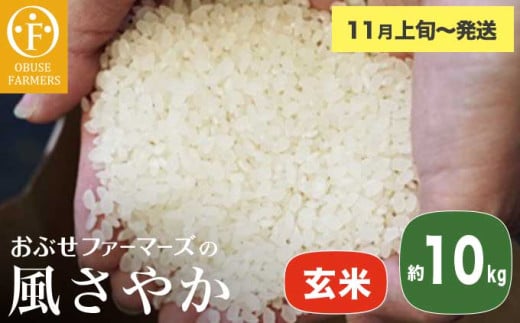 風さやか 玄米  約10kg ［ おぶせファーマーズ ］ お米 コメ おこめ ご飯 精米 長野県産 【2025年11月上旬～発送】［FK-20］ 2030331 - 長野県小布施町