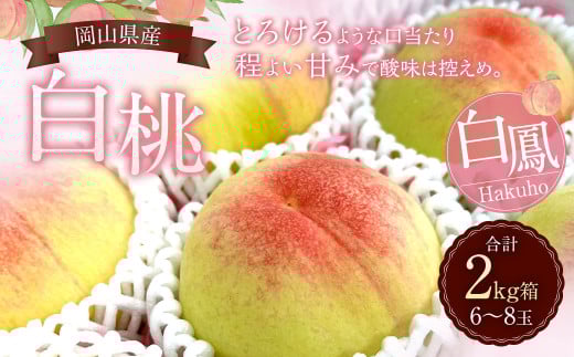 岡山県産 白桃（白鳳） 2kg箱（6～8玉） 【2025年7月上旬～下旬発送予定】 ／ 桃 もも 白鳳 フルーツ 果物 くだもの デザート