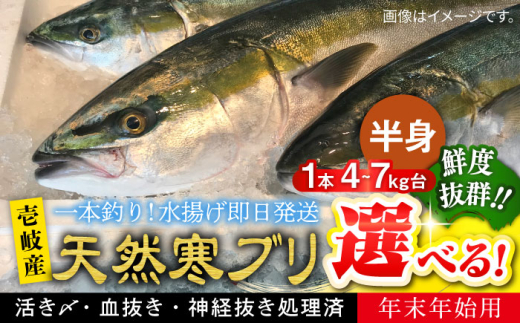 [選べるサイズ4〜7キロ台] [11/1〜1/15お届け 年末年始用]天然 寒ブリ(一本丸ものサイズの半身ブロック) [壱岐市][壱岐島 玄海屋][JBS018] ぶり 寒ぶり ブリ 魚 刺身 しゃぶしゃぶ