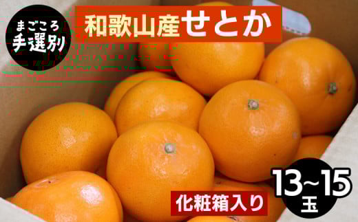 【まごころ手選別】和歌山産　せとか　化粧箱入り　(13～15玉) ※2026年2月下旬～4月中旬頃より順次発送予定