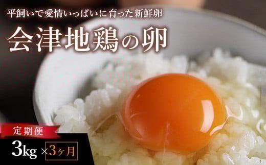 33-N　【3か月定期便】平飼い会津地鶏の卵 3kg（50～60個） ※沖縄・離島への配送不可 ※2023年11月頃より順次発送予定