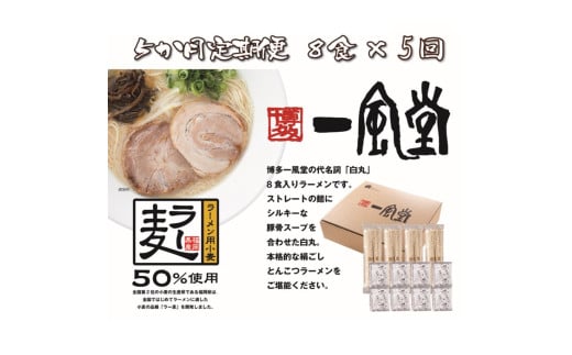 E133.【全5回定期便】一風堂白丸ラー麦麺セット・8食【豚骨ラーメン】