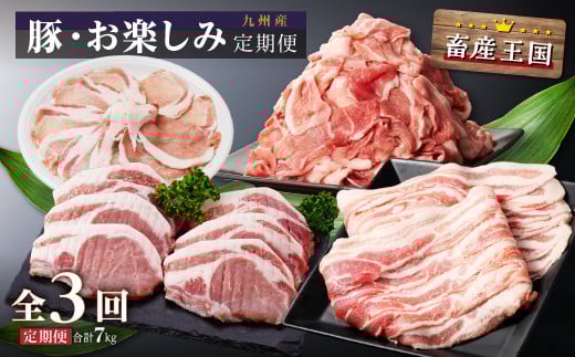 九州産・豚お楽しみ定期便(計3回) 2138849 - 鹿児島県大崎町
