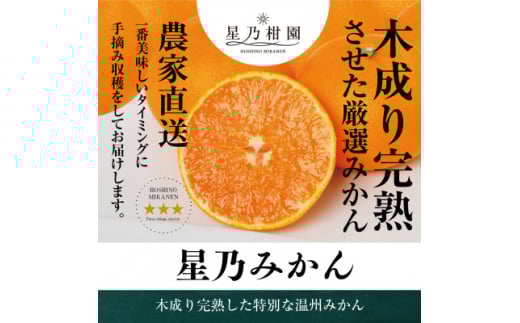 ＜三つ星ブランド＞星乃みかん(3kg)＜A45-96＞【1625777】