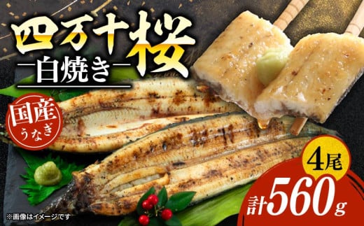 極上国産うなぎ四万十桜　白焼き約140g✕4尾 | うなぎ 鰻 白焼き 国産 四万十鰻 ウナギ 蒲焼き 調理済み タレ付き ギフト（お歳暮/お正月）高級 お取り寄せ グルメ ウナギ 食べ比べ 冷凍 2058312 - 高知県南国市