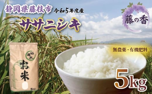 お米 藤の香 ササニシキ 古米 5kg 令和5年度産 静岡県産 静岡のお米 おこめ ご飯 ごはん 国産 産地直送 静岡県 藤枝市