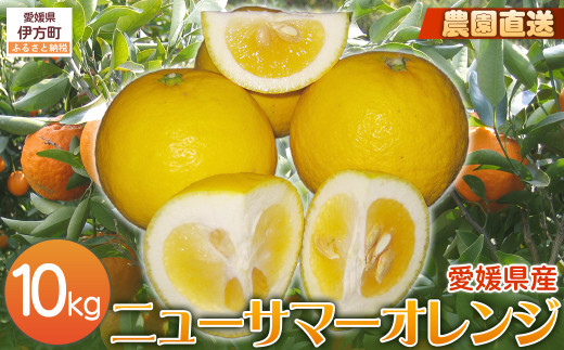 【栽培期間中農薬不使用】【先行受付】【数量限定】農園直送！愛媛県産ニューサマーオレンジ 10kg （2026年3月下旬頃より順次発送） 【 ふるさと納税 人気 おすすめ ランキング 柑橘 みかん ミカン 蜜柑 ニューサマ―オレンジ オレンジ フルーツ 果物 産地直送 ギフト 贈り物 栽培期間中農薬不使用 木野本農園 愛媛県産 愛媛県 伊方町 送料無料 】 IKTG010 2120474 - 愛媛県伊方町