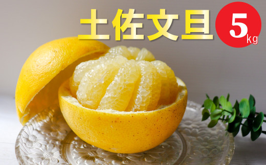土佐文旦 [5kg] サイズ混合 [2025年2月中旬頃より発送予定]
