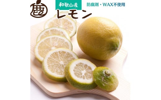 レモン2.5kg+250g（傷み補償分）【和歌山有田産】【防腐剤・WAX不使用、安心の国産レモン】［IKE127］