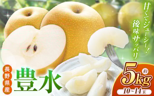 【先行予約】【9月中旬頃～発送予定】豊水 約5kg （ 10 ～ 14 玉 ）| 果物 くだもの フルーツ 梨 なし ナシ 長野県 塩尻市 1551642 - 長野県塩尻市