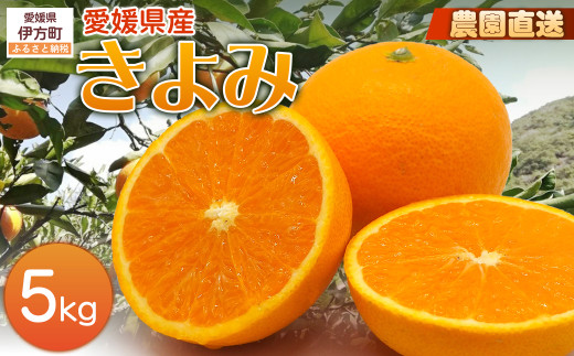 【栽培期間中農薬不使用】【先行受付】【数量限定】農園直送！愛媛県産 きよみ 5kg （2026年2月下旬頃より順次発送） 【 ふるさと納税 人気 おすすめ ランキング 柑橘 みかん ミカン 蜜柑 きよみ フルーツ 果物 産地直送 ギフト 贈り物 栽培期間中農薬不使用 木野本農園 愛媛県産 愛媛県 伊方町 送料無料 】 IKTG021 2120458 - 愛媛県伊方町