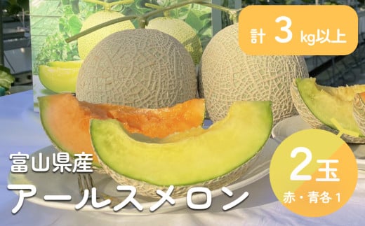 ＜先行予約＞アールスメロン  2個セット（赤肉・青肉） 計3kg以上  ＜2025年7月以降順次発送＞ 秀品 富山県 氷見市 メロン めろん 果物 くだもの フルーツ