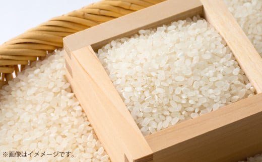 [令和7年産3回定期便]島育ち、甑島産・あきほなみ 白米 定期便 合計15kg(5kg×3回)[2025年11月上旬より順次発送開始][先行予約]米 お米 おこめ BS-848