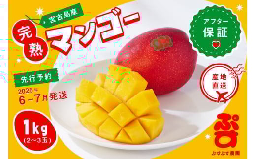 【ぷすぷす農園】宮古島産完熟マンゴーお中元セット(家庭用／1キロ×10セット／農園直送) 2159865 - 沖縄県宮古島市