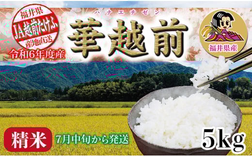 令和6年度産「華越前(ハナエチゼン)」 5㎏ 【7月中旬頃お届け】 2137480 - 福井県越前市