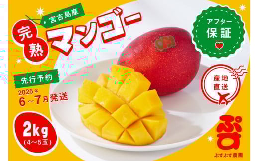 【ぷすぷす農園】宮古島産完熟マンゴーお中元セット(家庭用／2キロ×10セット／農園直送)