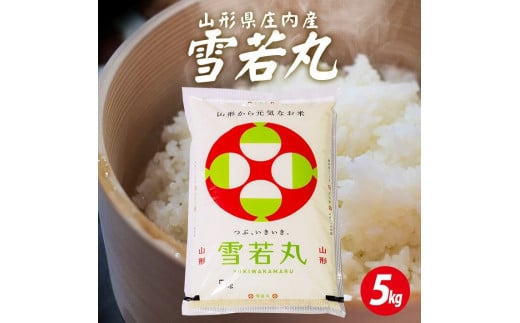 1229R06　庄内産雪若丸5kg（令和6年産米）
