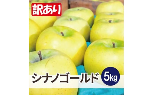 ＜26年5月より順次発送＞平均糖度13度以上! シナノゴールド 約5kg 訳あり  クール便【1610038】 2137632 - 青森県黒石市