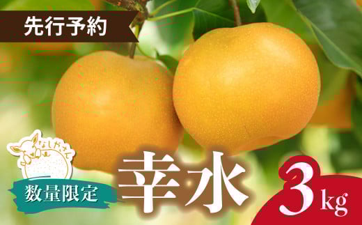 [先行予約・数量限定]なしやさんの幸水(3kg)6〜9個 限定5箱 | 梨 なし ナシ 幸水 3キロ ヤギ 旬 なるべく農薬使用しない 栽培 和梨 お取り寄せ 産地直送 果物 旬 新鮮 ギフト フルーツ 果物 甘い おいしい 自然栽培 お楽しみ おすすめ 数量限定 季節限定 プレゼント 贈り物 贈答品 先行予約 期間限定 なしやさん 埼玉県 東松山市
