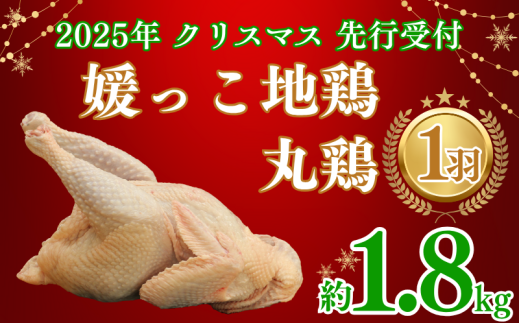[ 2025年 クリスマス 先行予約 ] 媛っこ地鶏 丸鶏 約 1.8kg まるごと 鶏肉 鳥肉 肉 チキン むね肉 もも肉 クリスマス ローストチキン ごちそう 愛媛県 愛南町 ローカルスタンダード