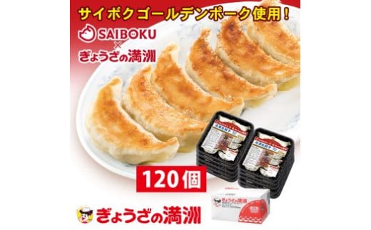 C001-25　プレミアム冷凍餃子120個